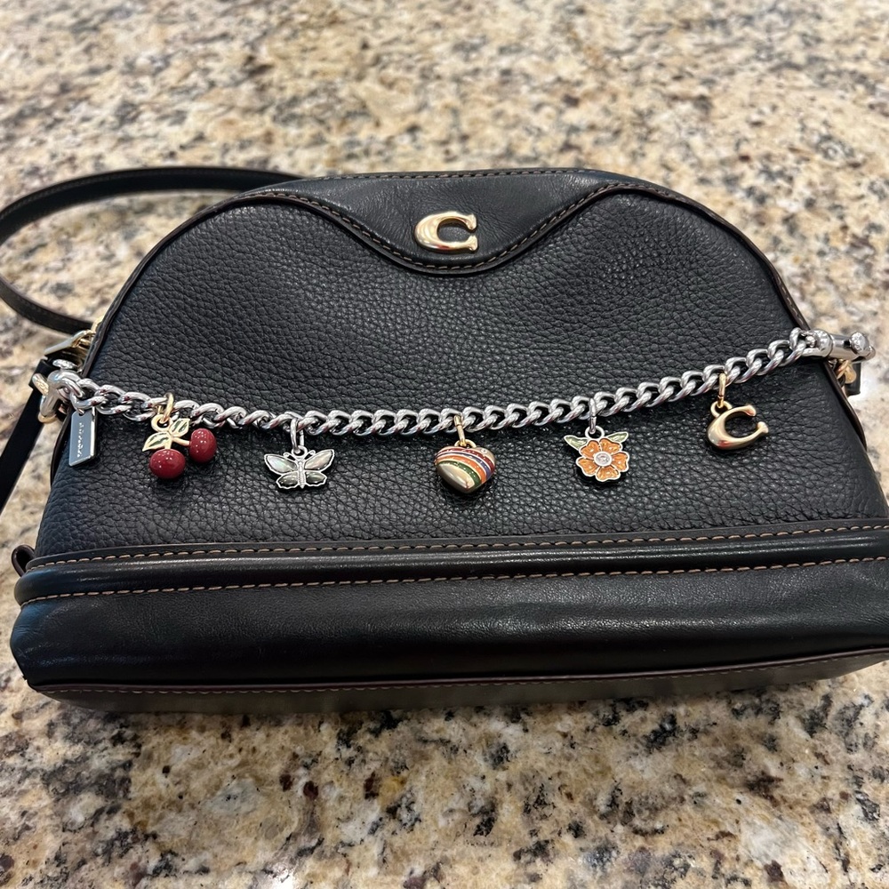 Coach Bag Charm Chain